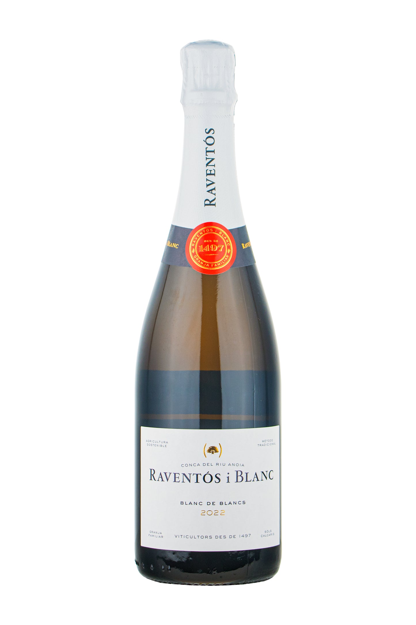Raventos i Blanc Blanc de Blancs