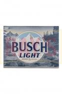 Busch - Light (31)